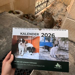 Nordic Strays Kalender 2026